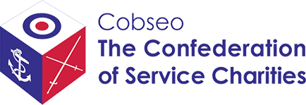 logo-cobseo-1566661749